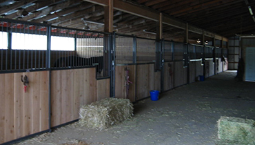 Horse Boarding Facilities Near Me | Horse Boarding Stable | Reese Creek Ranch