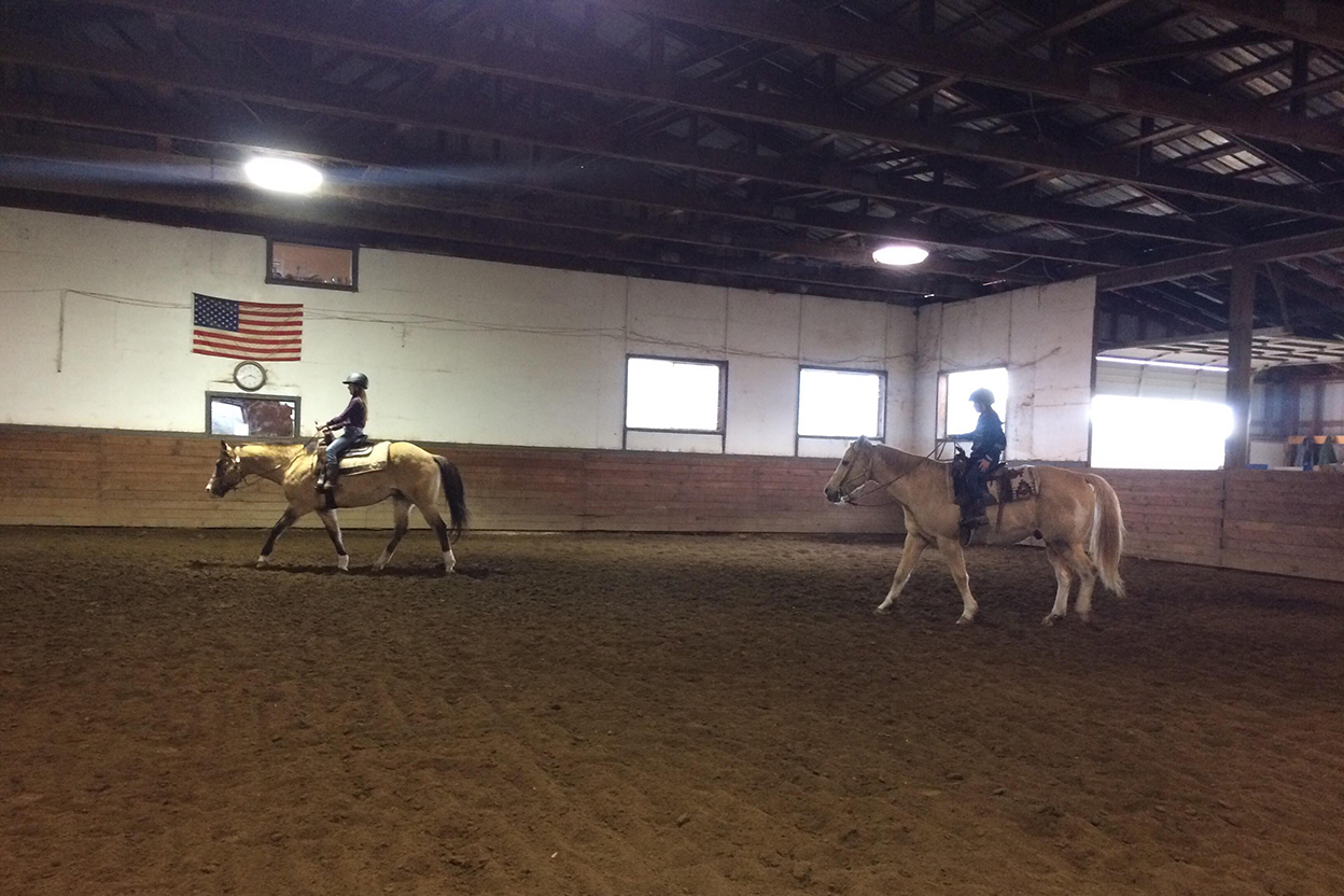 Horse Training Problem Solving
