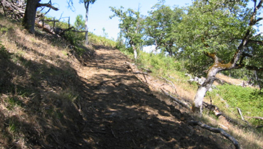 Pasture Boarding & Shelter